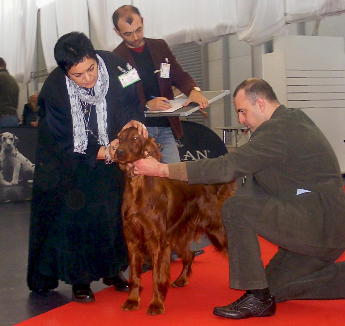 Picture2 of JCh RO Bruno at CAC-Derby Timisoara 2012